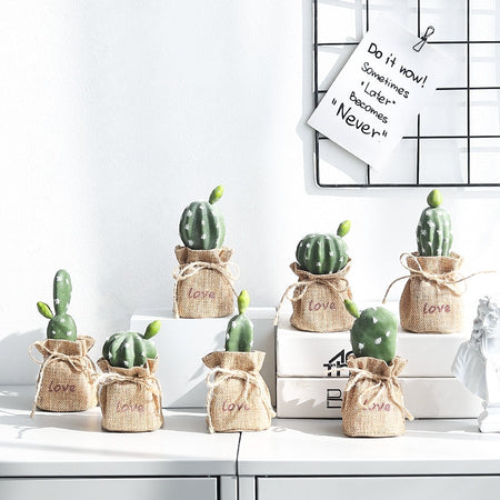 Nordic Cactus Accessories