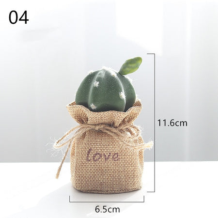 Nordic Cactus Accessories