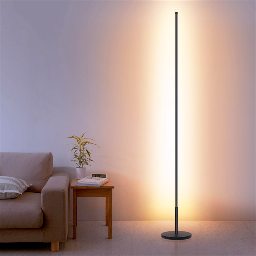 Minimalist LED Floor Lamp
