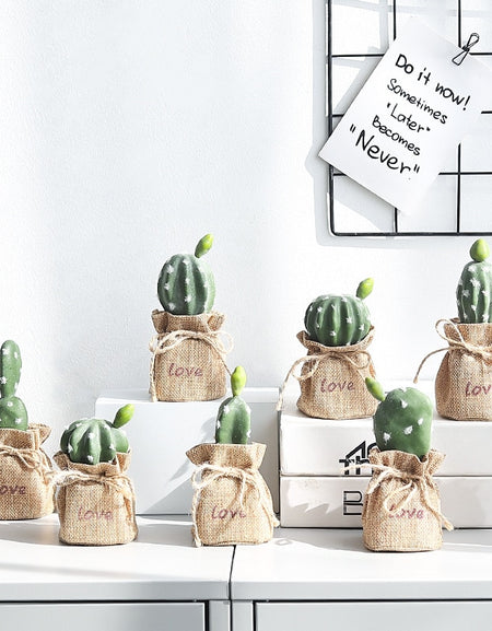 Nordic Cactus Accessories