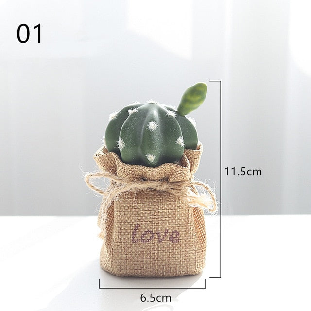 Nordic Cactus Accessories