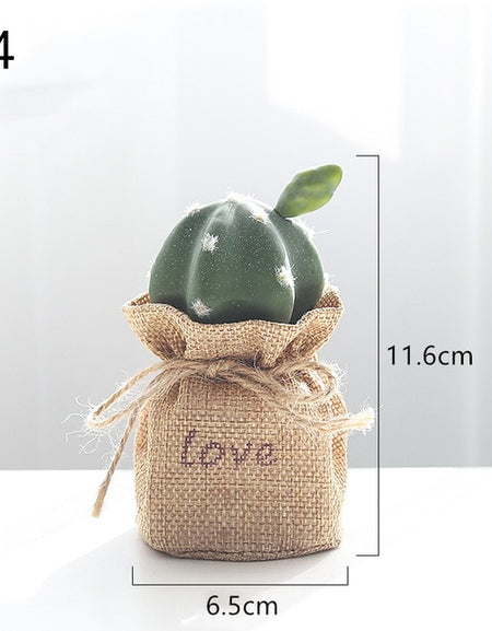 Nordic Cactus Accessories