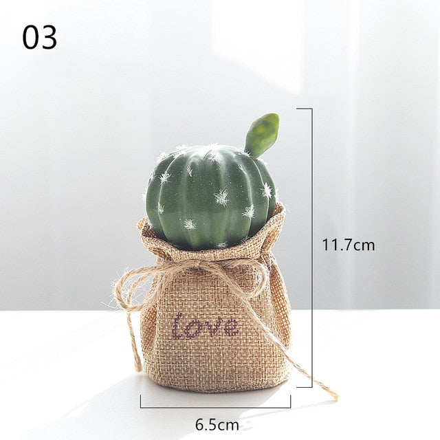 Nordic Cactus Accessories