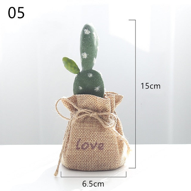 Nordic Cactus Accessories