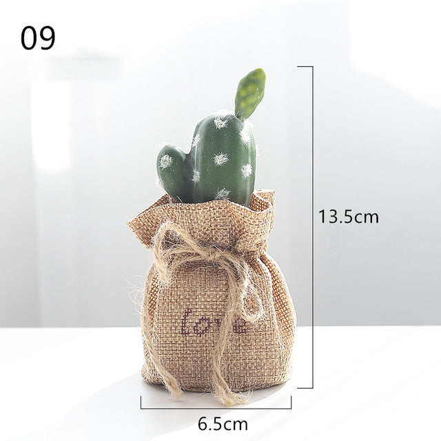 Nordic Cactus Accessories