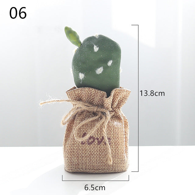 Nordic Cactus Accessories