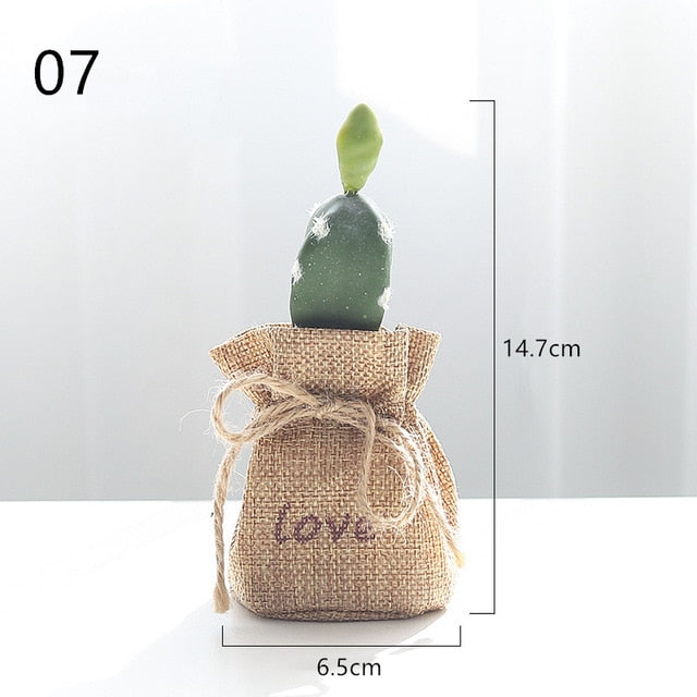 Nordic Cactus Accessories