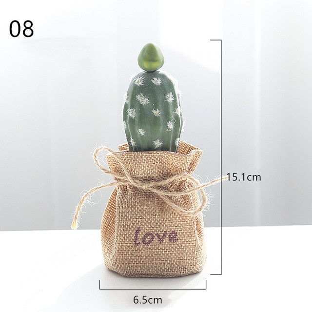 Nordic Cactus Accessories